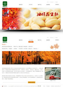 煙臺楓林食品 多元化產業與網億高端網站建設的協同發展